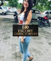 Elevate Your Experience with Premium Escort Services in Delhi